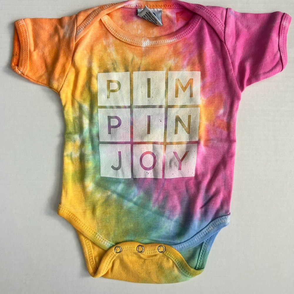 Brand new never worn NWOT 6 month onesie